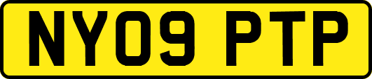 NY09PTP