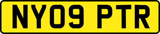 NY09PTR