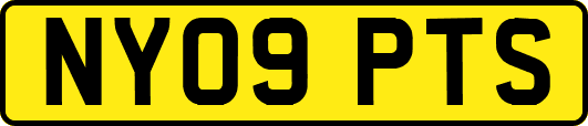 NY09PTS