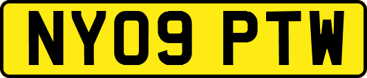 NY09PTW