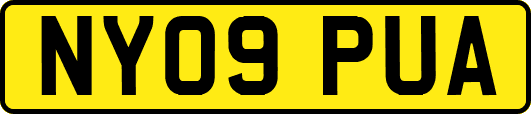 NY09PUA