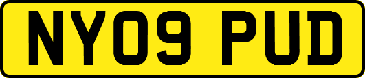 NY09PUD