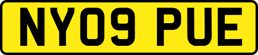 NY09PUE