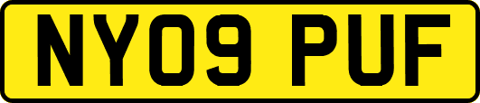 NY09PUF