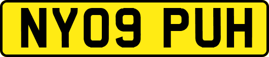 NY09PUH