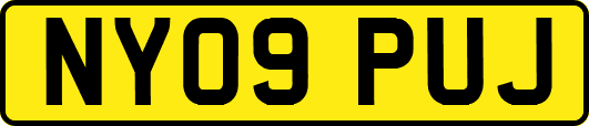 NY09PUJ