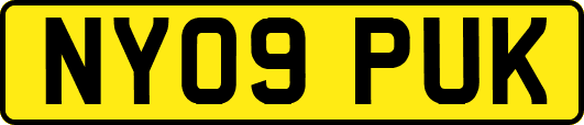 NY09PUK