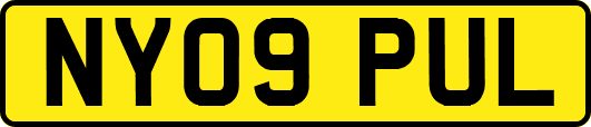 NY09PUL