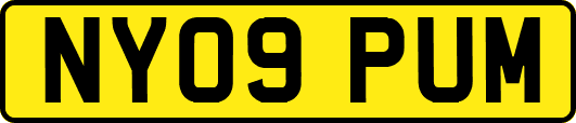 NY09PUM
