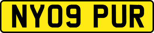 NY09PUR
