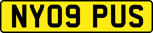 NY09PUS
