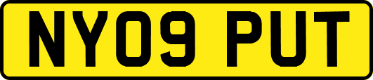 NY09PUT