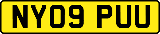 NY09PUU