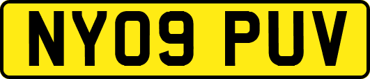 NY09PUV