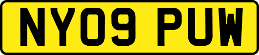 NY09PUW