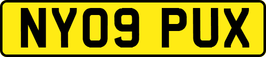 NY09PUX