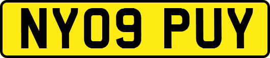 NY09PUY