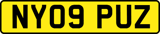 NY09PUZ
