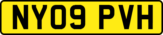 NY09PVH