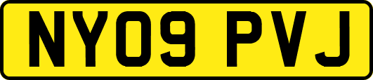 NY09PVJ