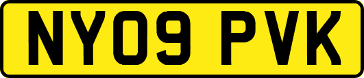 NY09PVK