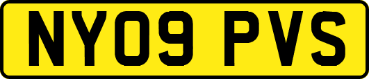 NY09PVS