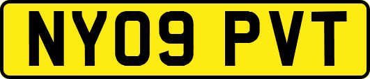 NY09PVT