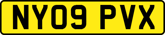 NY09PVX