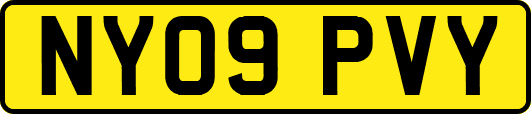 NY09PVY