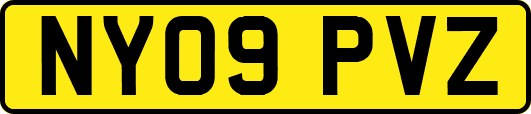 NY09PVZ