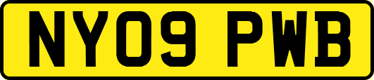 NY09PWB