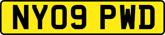 NY09PWD