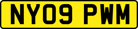 NY09PWM