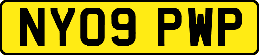 NY09PWP