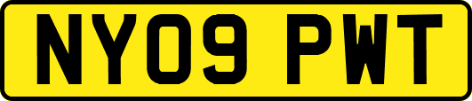 NY09PWT