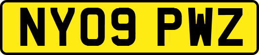 NY09PWZ