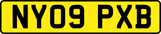 NY09PXB