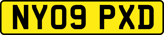 NY09PXD