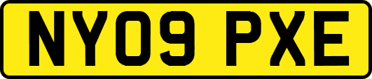 NY09PXE