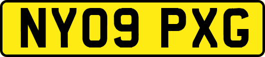 NY09PXG