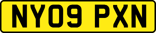 NY09PXN