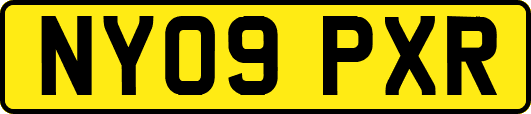NY09PXR
