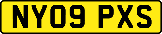 NY09PXS