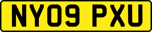 NY09PXU