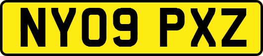 NY09PXZ