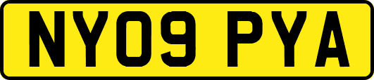 NY09PYA
