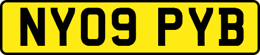 NY09PYB