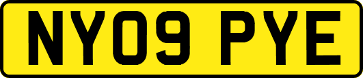 NY09PYE