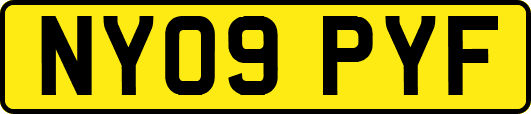 NY09PYF