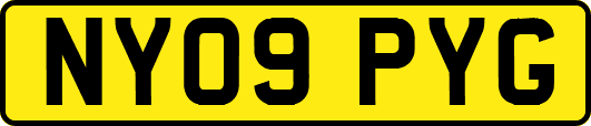 NY09PYG